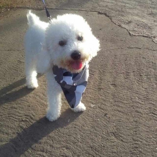 de paseo 